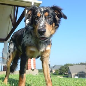 Meet your Posher, Sierra